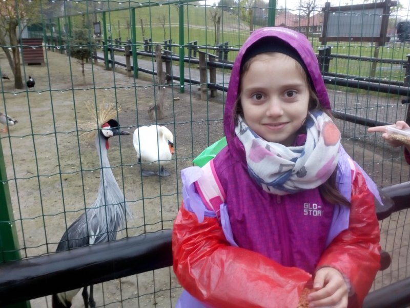 Wycieczka do Jura Parku w Bałtowie